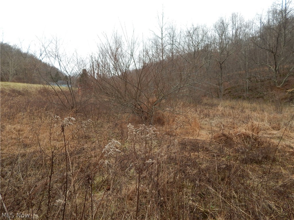 980 Hazelgreen Road Smithville, WV 26178 - Photo 2 of 7