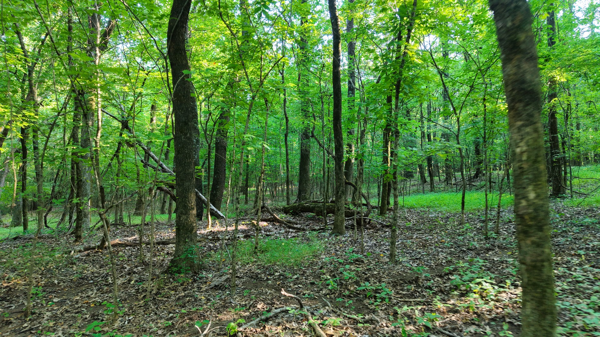 0 Harrell Road Arlington, TN 38002 - Photo 23 of 29 Gallery Image 23