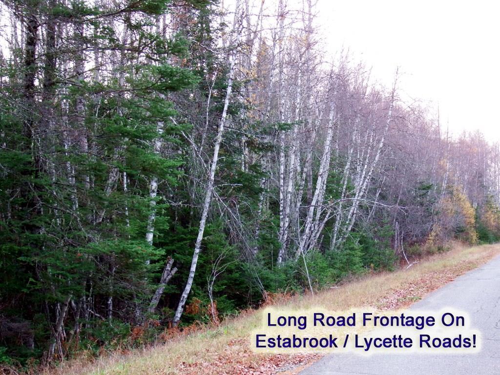 444 Lycette Road Amity, ME 04471 - Photo 34 of 34 Photo