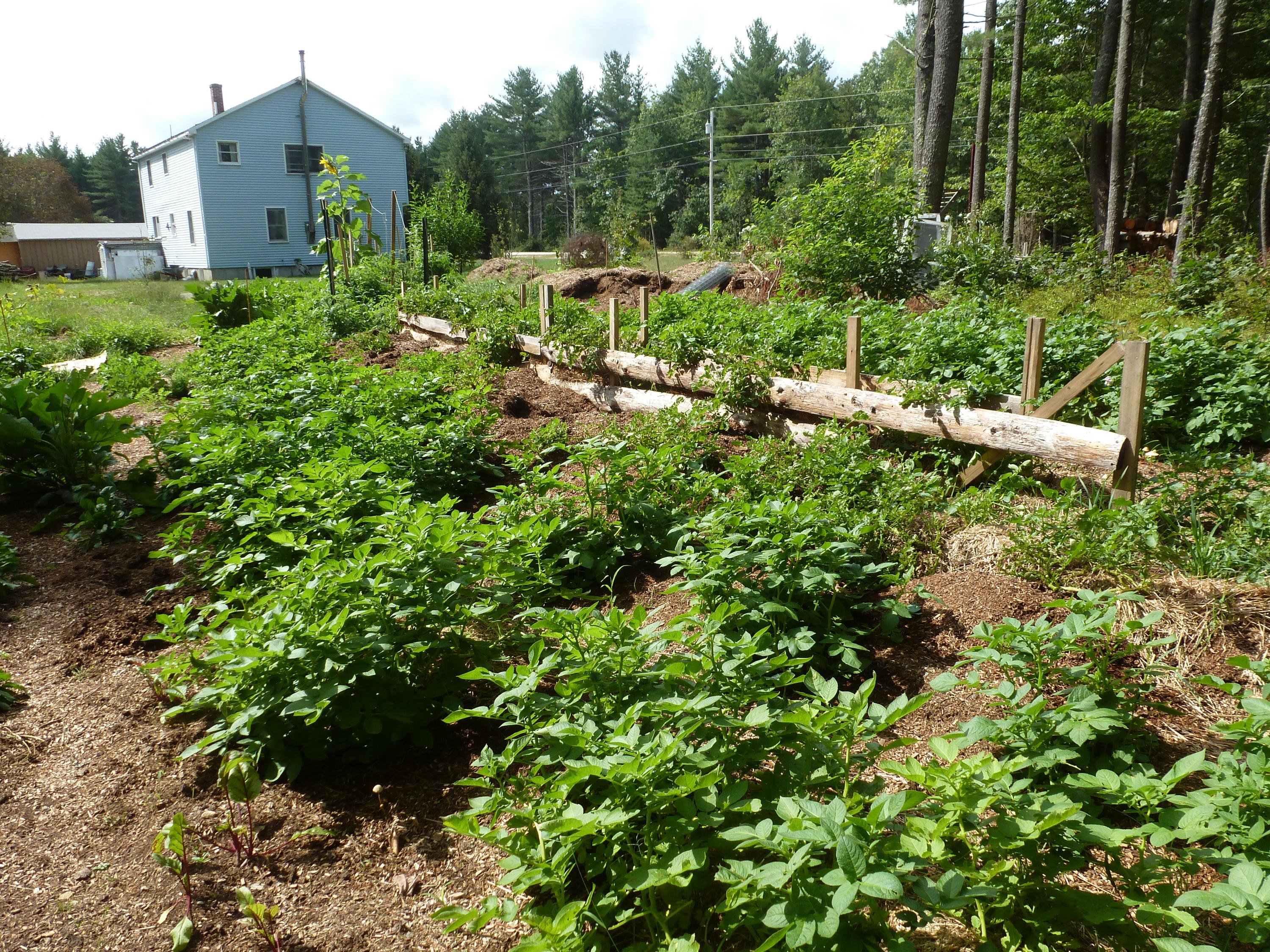 238 Huff Road Lyman, ME 04002 - Photo 44 of 55 Gardens