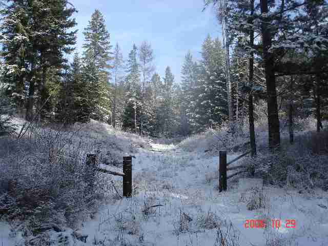 16909 East Jackson Road Chattaroy, WA 99003 - Photo 2 of 9