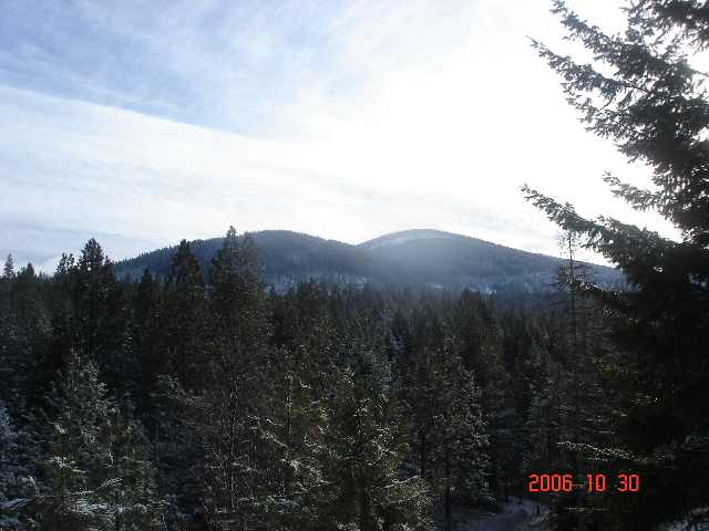 16909 East Jackson Road Chattaroy, WA 99003 - Photo 3 of 9