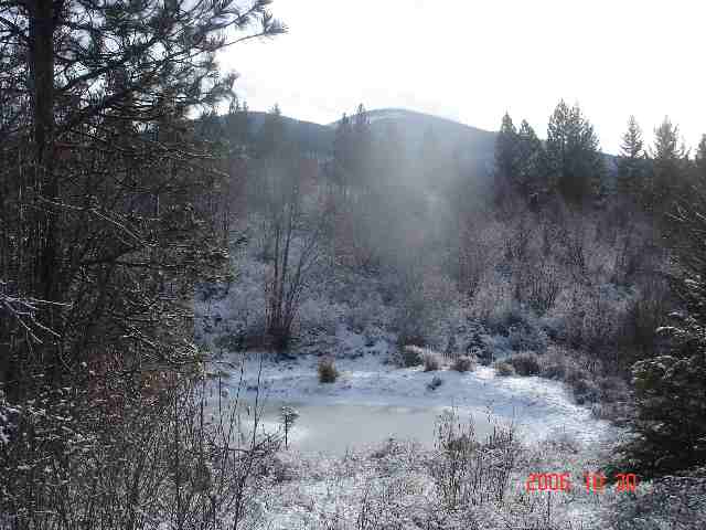 16909 East Jackson Road Chattaroy, WA 99003 - Photo 4 of 9
