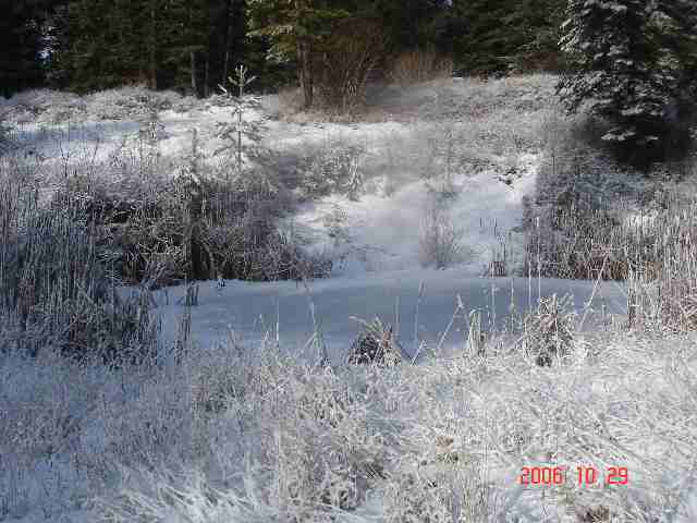 16909 East Jackson Road Chattaroy, WA 99003 - Photo 5 of 9
