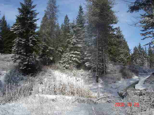16909 East Jackson Road Chattaroy, WA 99003 - Photo 6 of 9