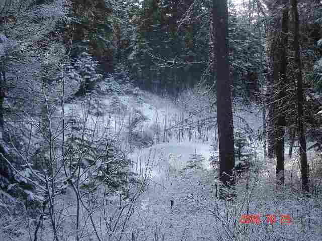 16909 East Jackson Road Chattaroy, WA 99003 - Photo 8 of 9