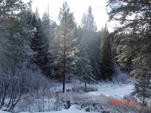 16909 East Jackson Road Chattaroy, WA 99003 - Photo 9 of 9