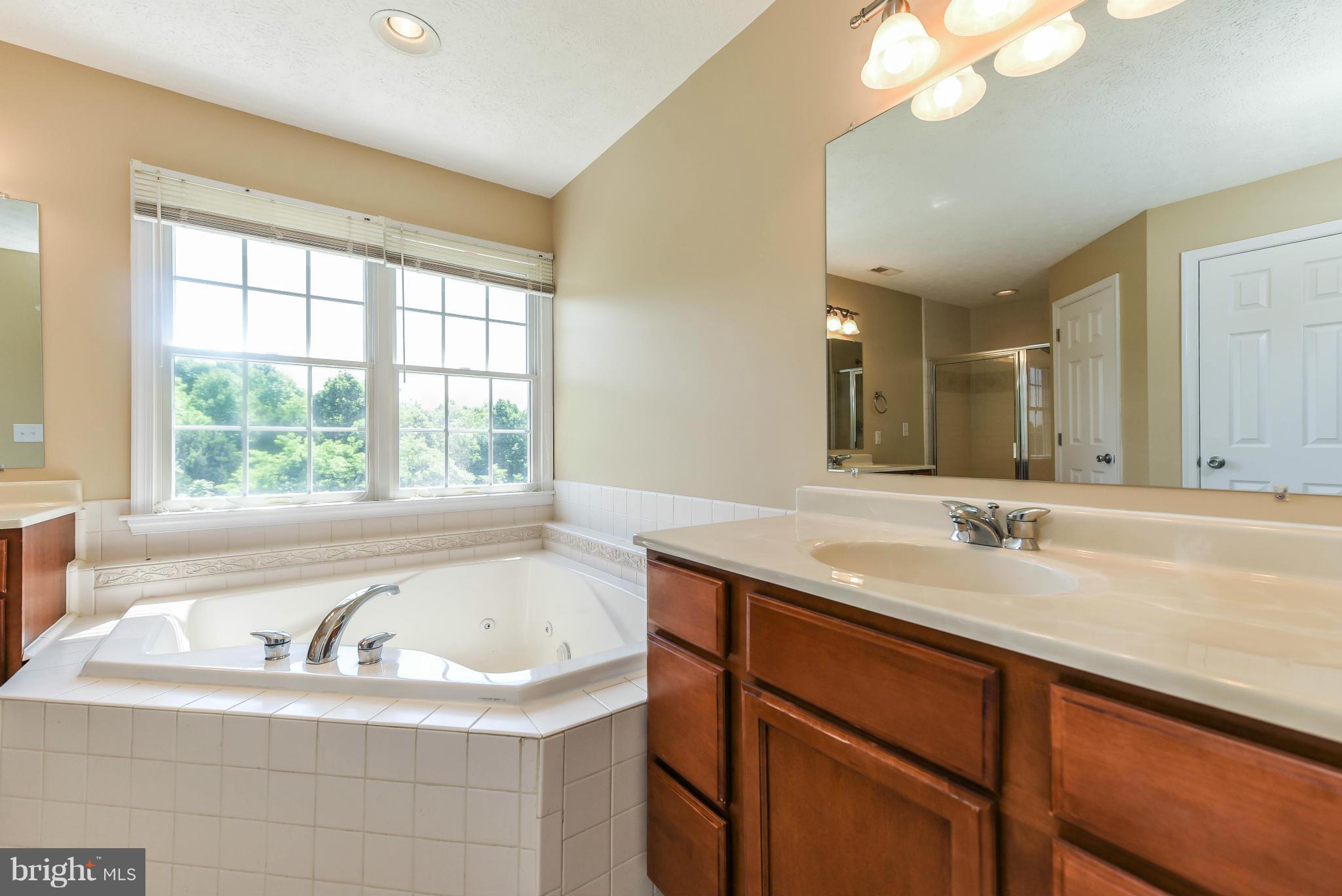 225 Crossland Lane Rising Sun, MD 21911 - Photo 17 of 30 Bath (Master)
