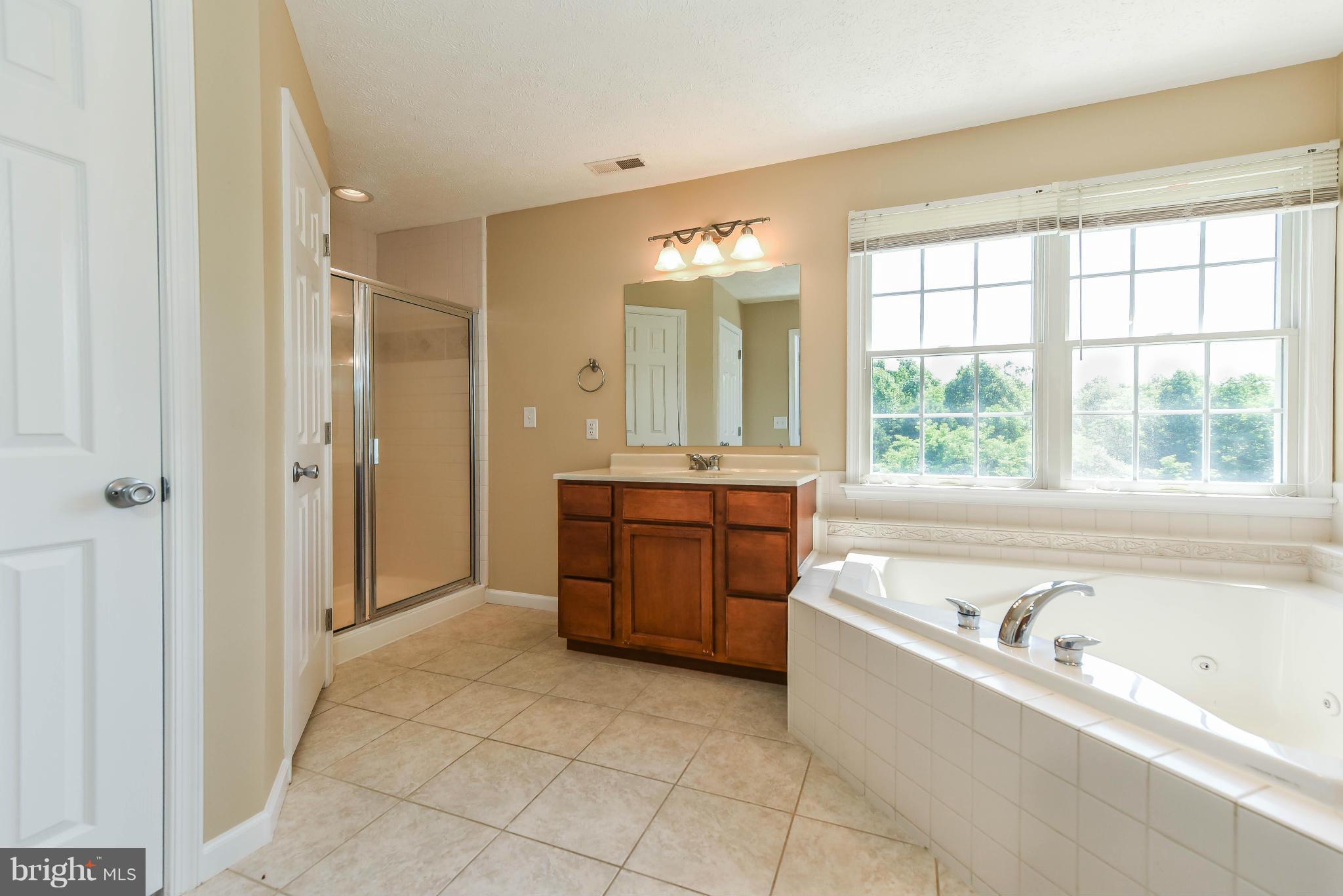 225 Crossland Lane Rising Sun, MD 21911 - Photo 18 of 30 Bath (Master)