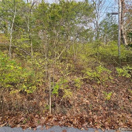 $5,000 | 7320 Woodland Drive, Cedar Hill, MO 63016