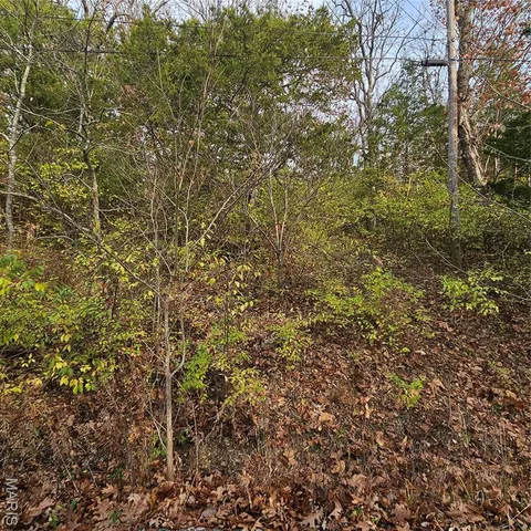 $5,000 | 7320 Woodland Drive, Cedar Hill, MO 63016