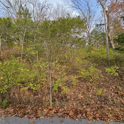 $5,000 | 7320 Woodland Drive, Cedar Hill, MO 63016