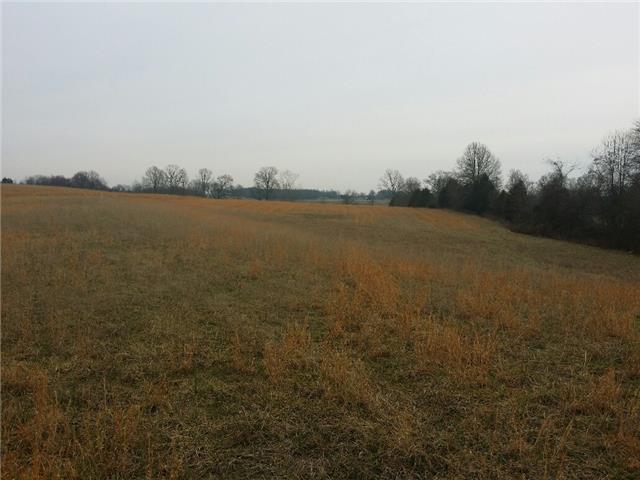 0 Piper Road Portland, TN 37148 - Photo 2 of 2