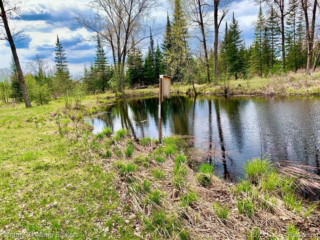 0 East Sugar River Road Alger, MI 48610 - Photo 6 of 50