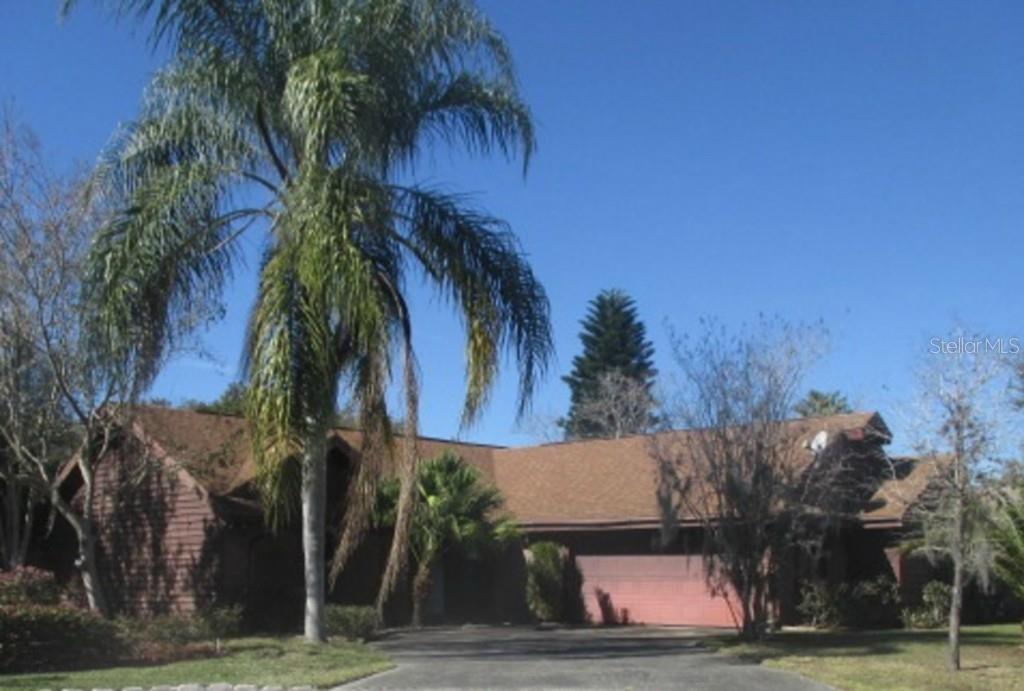 23139 St George Place Land O' Lakes, FL 34639 - Photo 1 of 1 a view of a yard with a palm tree