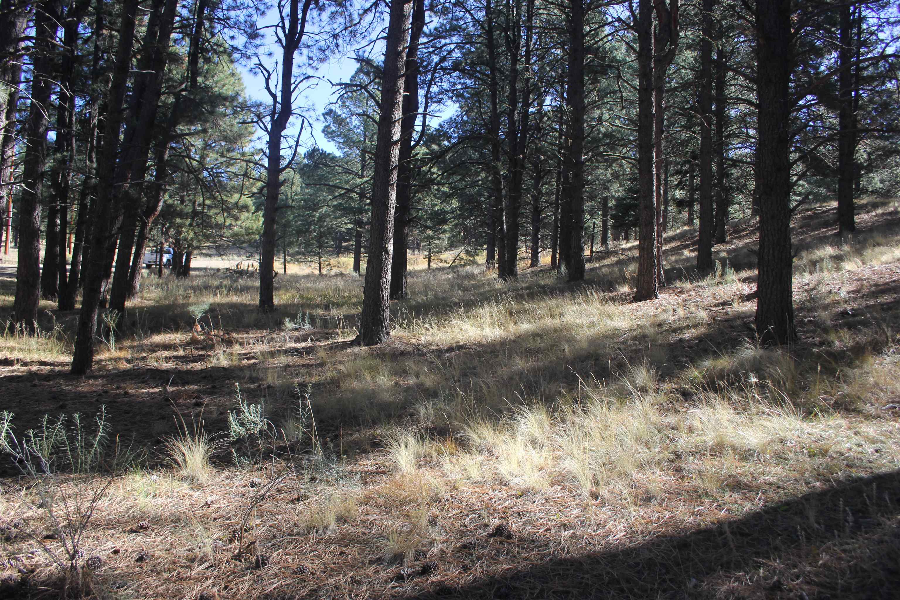Lot 41 Valley Road Angel Fire, NM 87710 - Photo 8 of 12 Gallery Image 8
