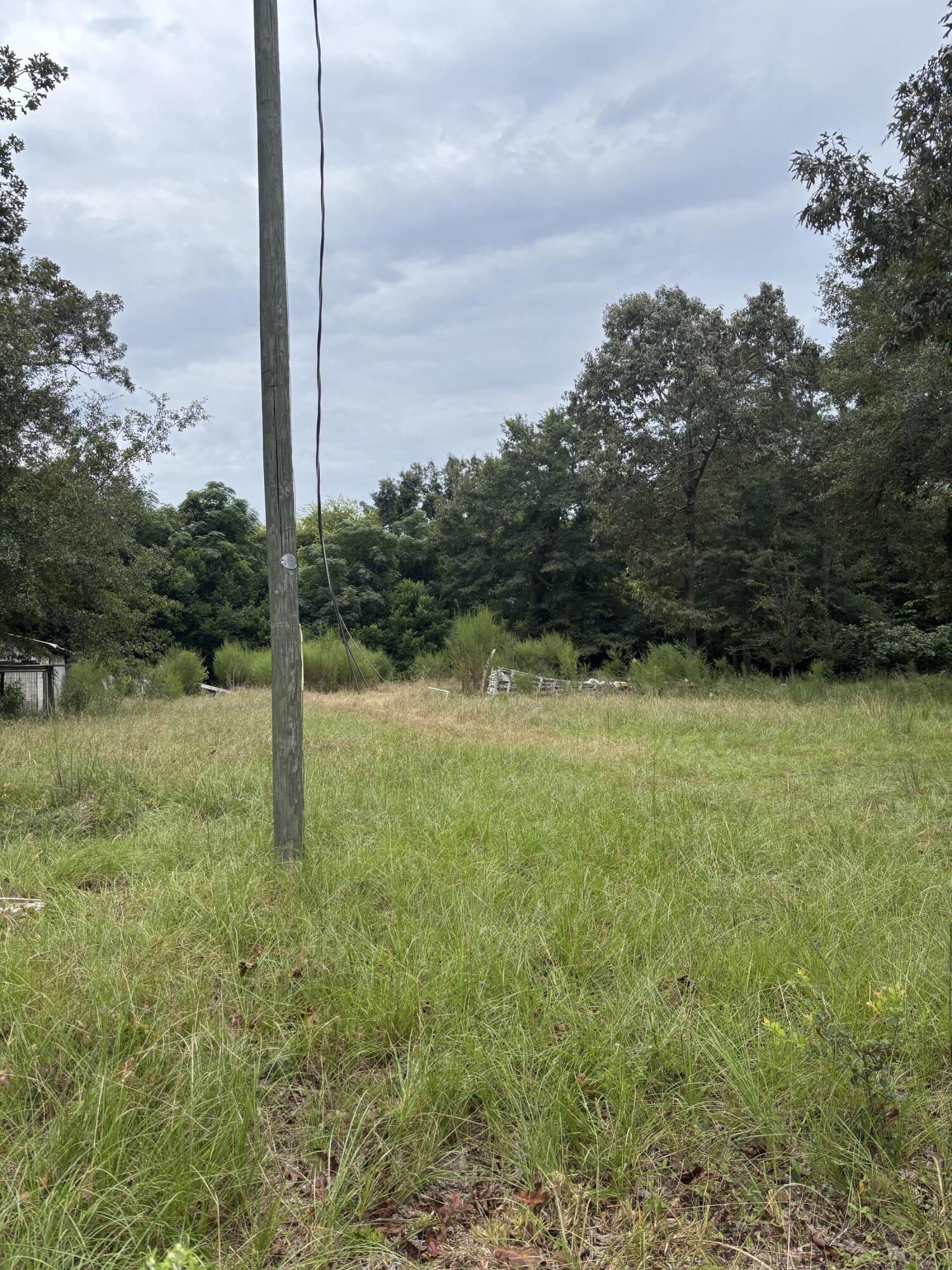 2028 Whitetail Road Blackville, SC 29817 - Photo 8 of 12 Gallery Image 8