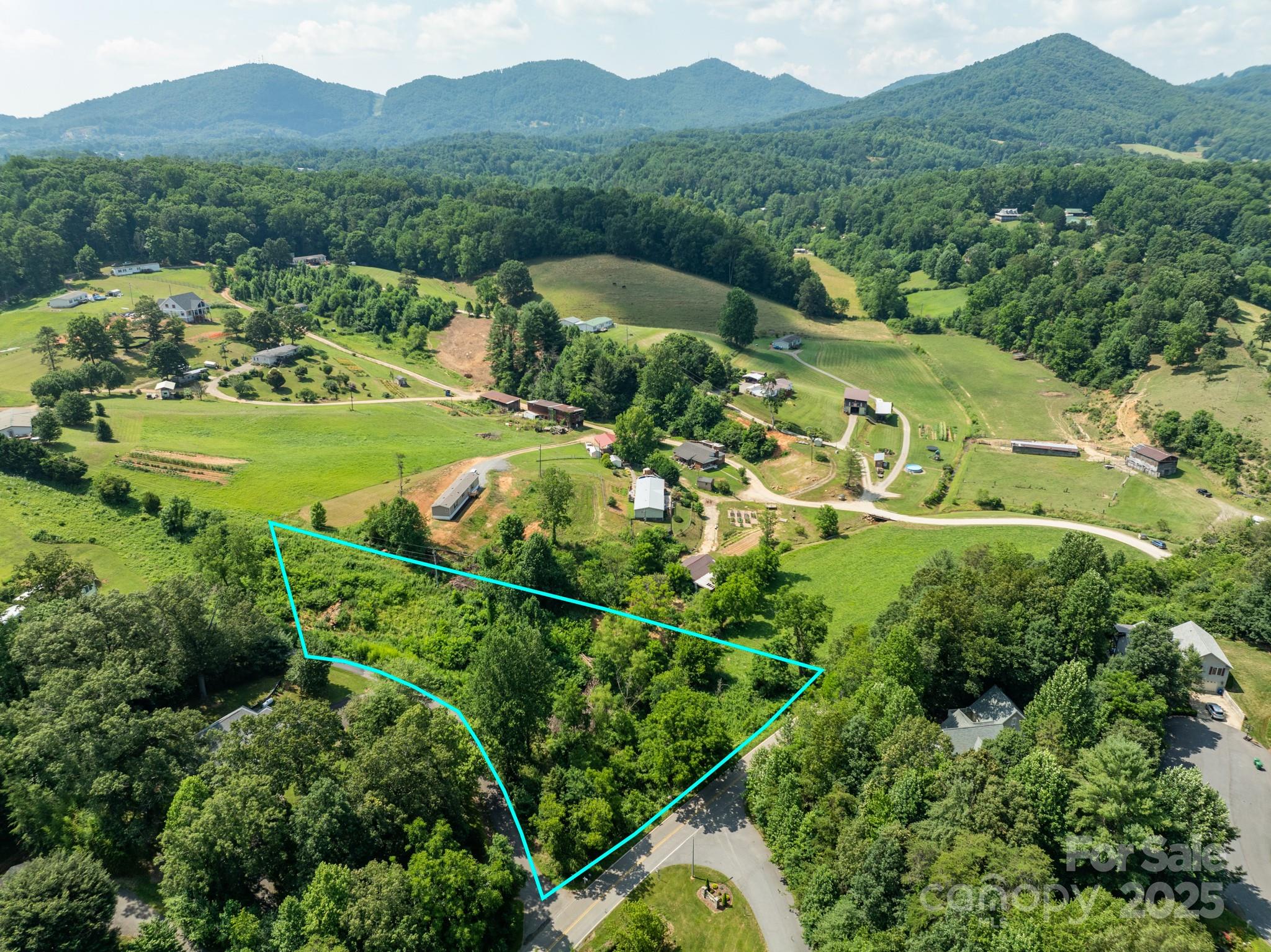52 Gouges Branch Road Leicester, NC 28748 - Photo 1 of 8 an aerial view of a house with a yard