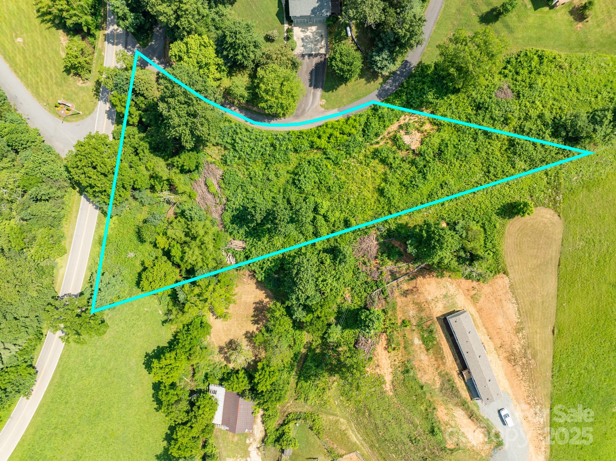 52 Gouges Branch Road Leicester, NC 28748 - Photo 2 of 8 a view of a yard with a plant