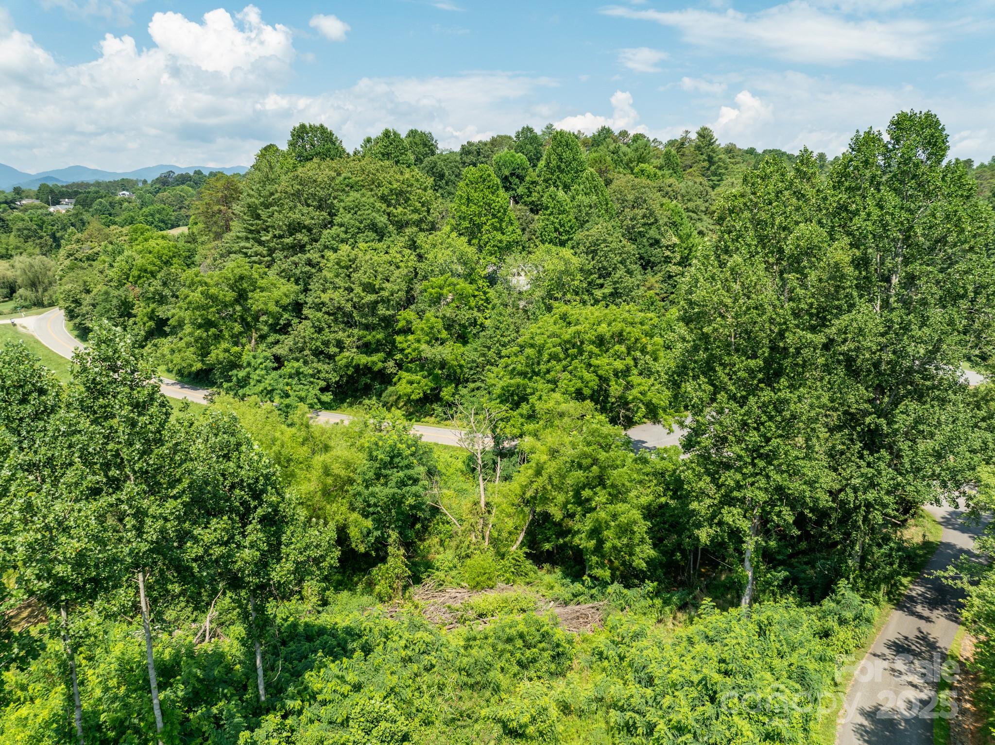 52 Gouges Branch Road Leicester, NC 28748 - Photo 3 of 8 a view of a garden