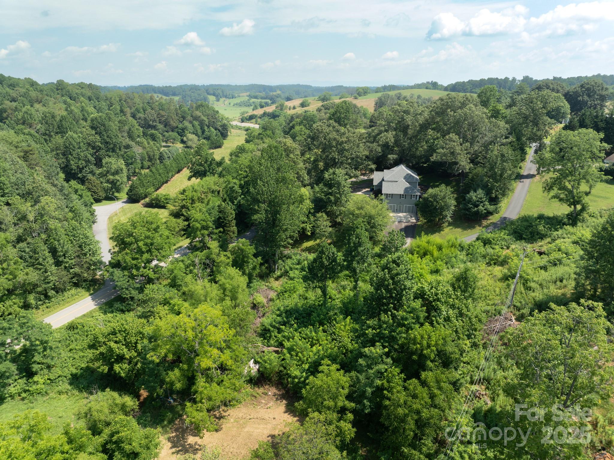 52 Gouges Branch Road Leicester, NC 28748 - Photo 4 of 8 an aerial view of a houses with yard and outdoor space