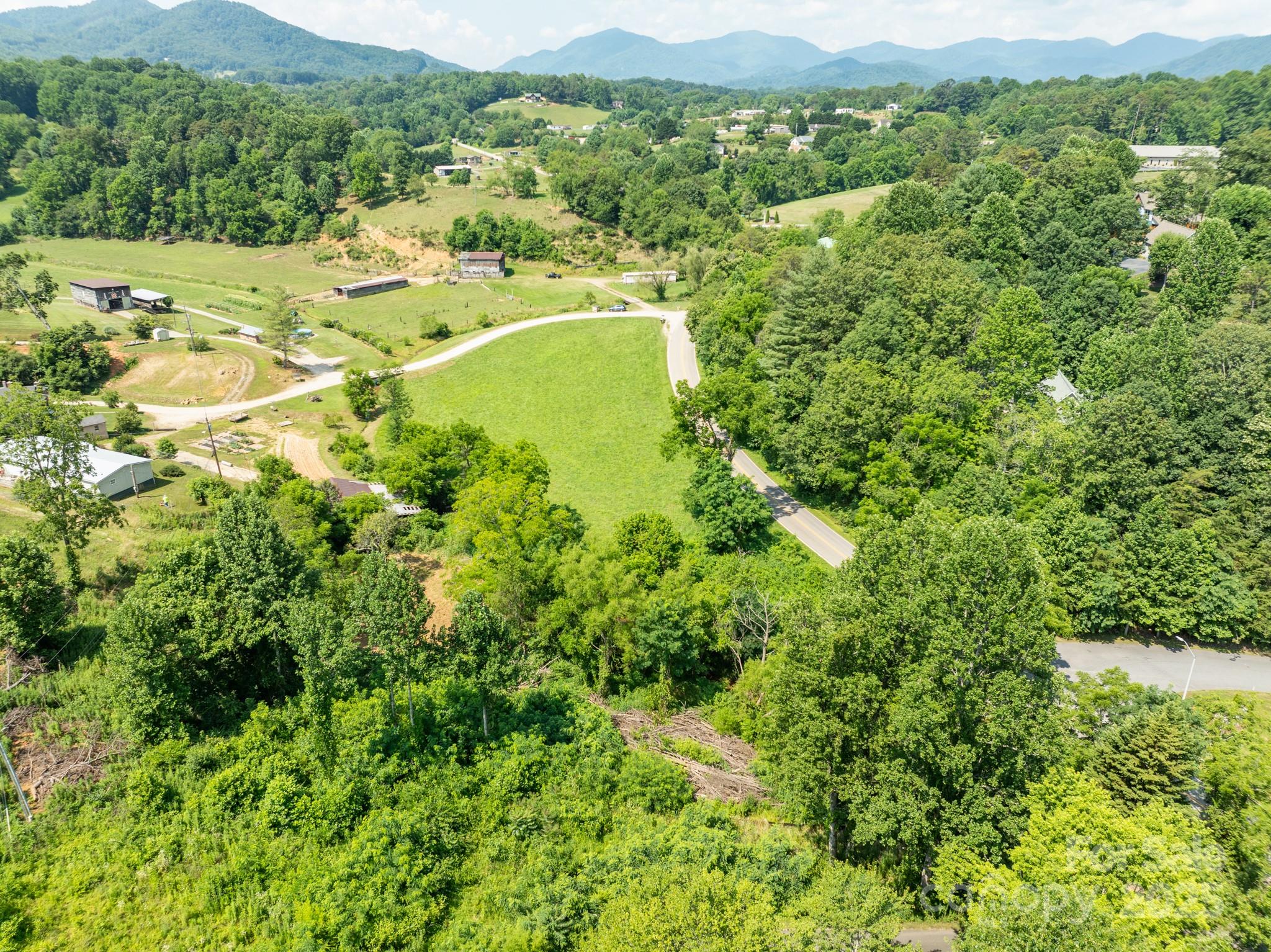52 Gouges Branch Road Leicester, NC 28748 - Photo 6 of 8 a view of a lush green field with mountains in the background