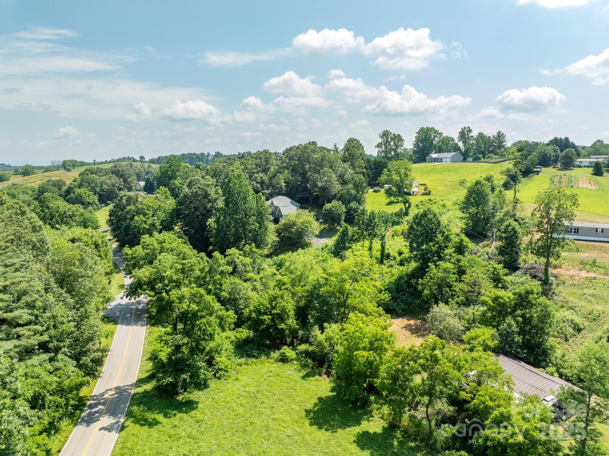 52 Gouges Branch Road Leicester, NC 28748 - Photo 7 of 8 a view of a garden with an trees
