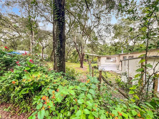 a view of street with flower plants