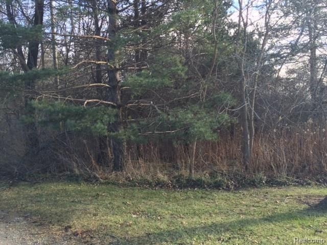 273 South Coats Road Oxford, MI 48371 - Photo 2 of 13 273 Coats 3.jpg
