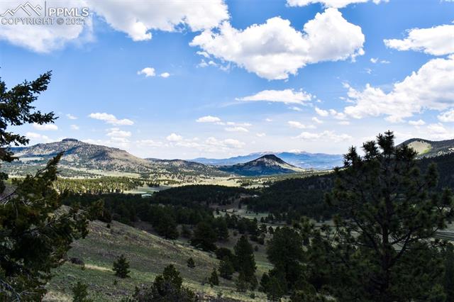 264 Jack Younce Road Guffey, CO 80820 - Photo 5 of 36 Gallery Image 5