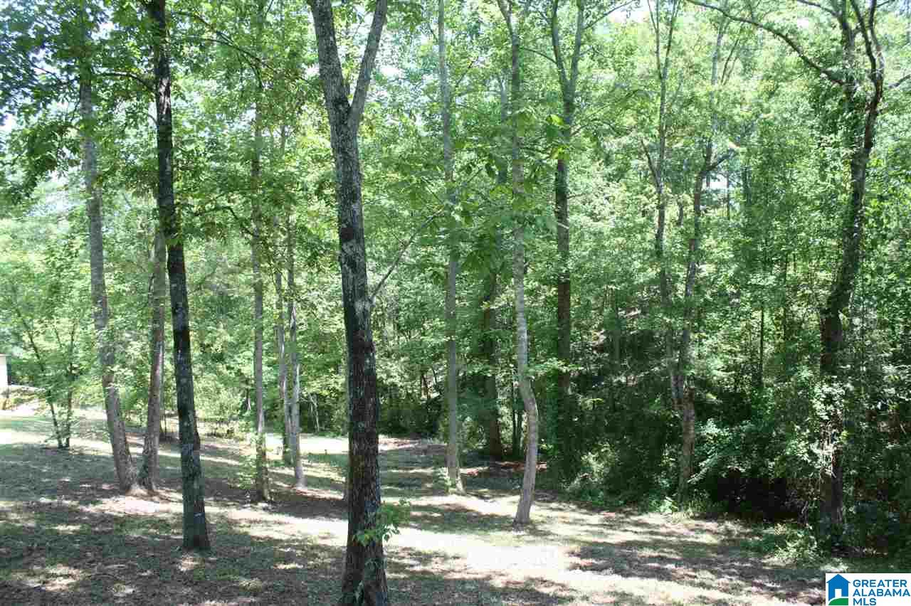 810 Weeks Drive, Unit 152 ACRES Delta, AL 36258 - Photo 6 of 24