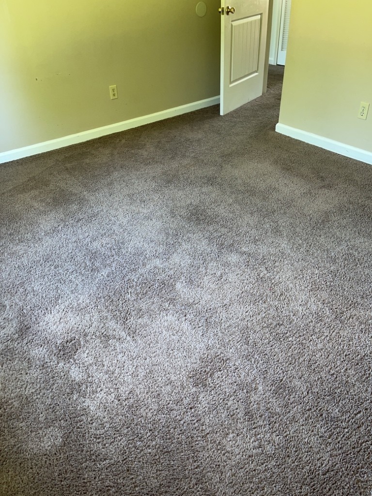 523 North Seminary Street Princeton, KY 42445 - Photo 2 of 6 a view of an empty room
