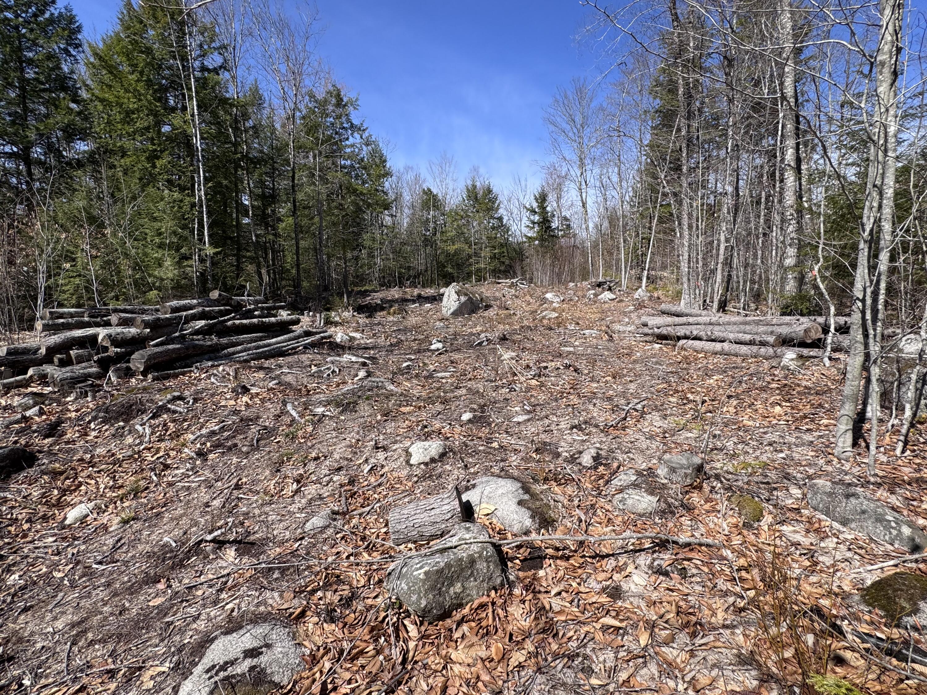 11 Ward Road Sebago, ME 04029 - Photo 5 of 6