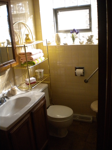 6447 West 63rd Place Chicago, IL 60638 - Photo 12 of 14
