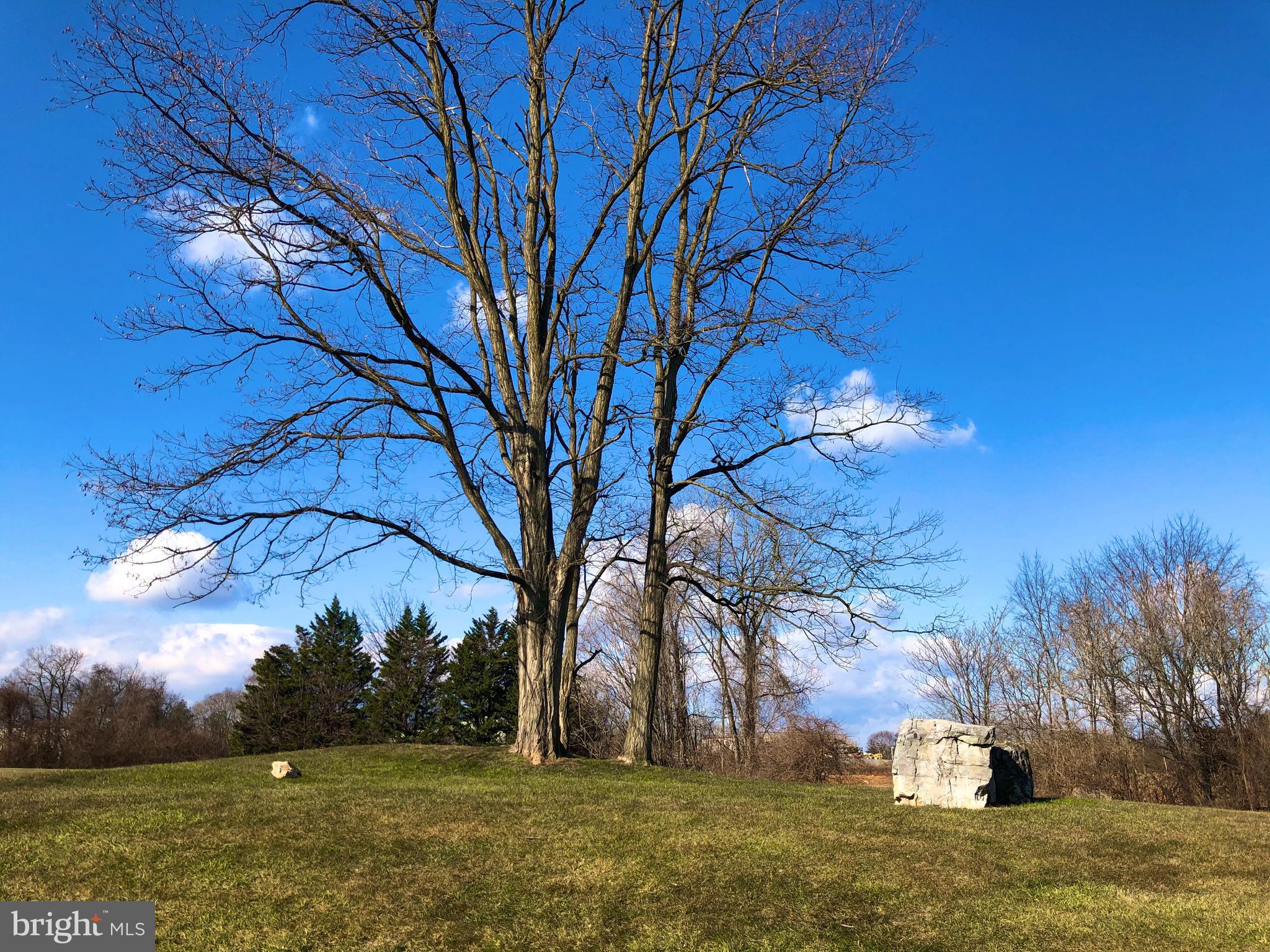 7197 A Cimarron Court Frederick, MD 21703 - Photo 21 of 23 a backyard of a house with lots of green space