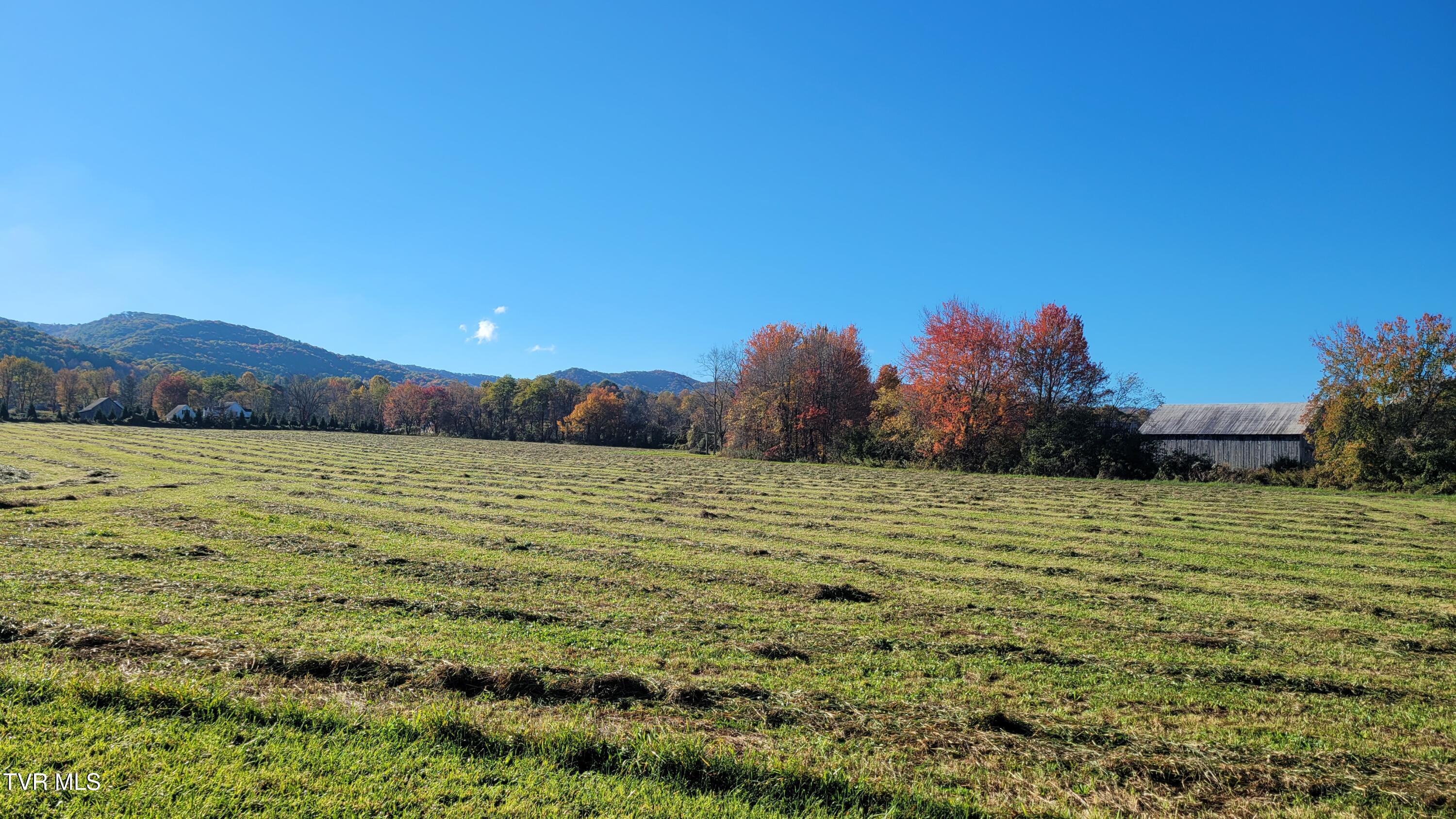 225 Highway 91 Shady Valley, TN 37688 - Photo 41 of 52 20251016_094220