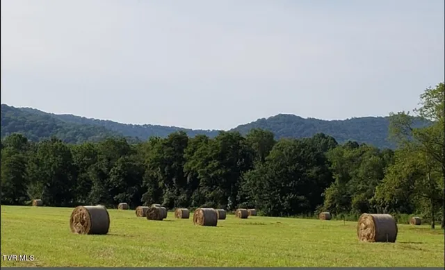 $295,500 | 225 Highway 91, Shady Valley, TN 37688