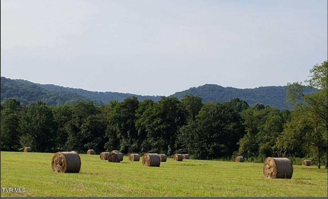 225 Highway 91 Shady Valley, TN 37688 - Photo 42 of 52 Screenshot_20250807_201244_OneDrive