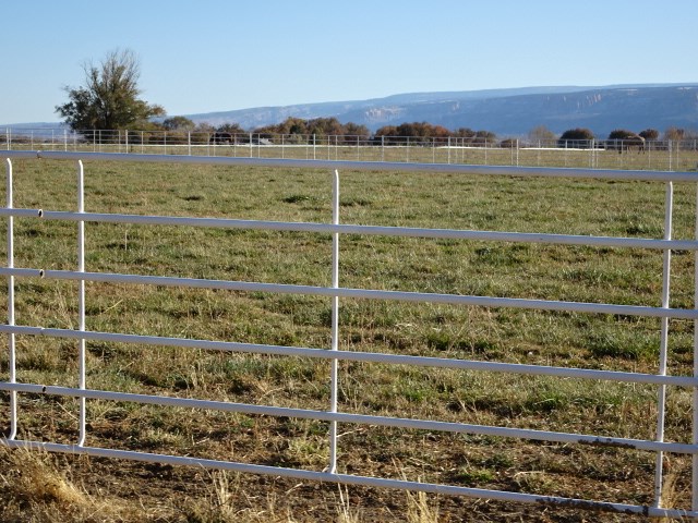 a view of a green field with buildings in the background