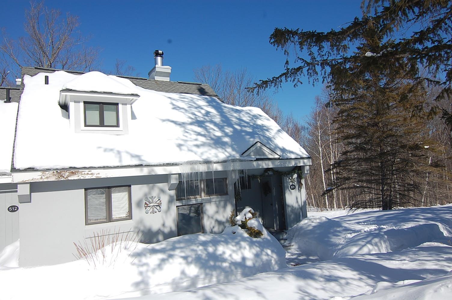 22 High Point Drive, Unit 511 Stratton, VT 05155 - Photo 3 of 34