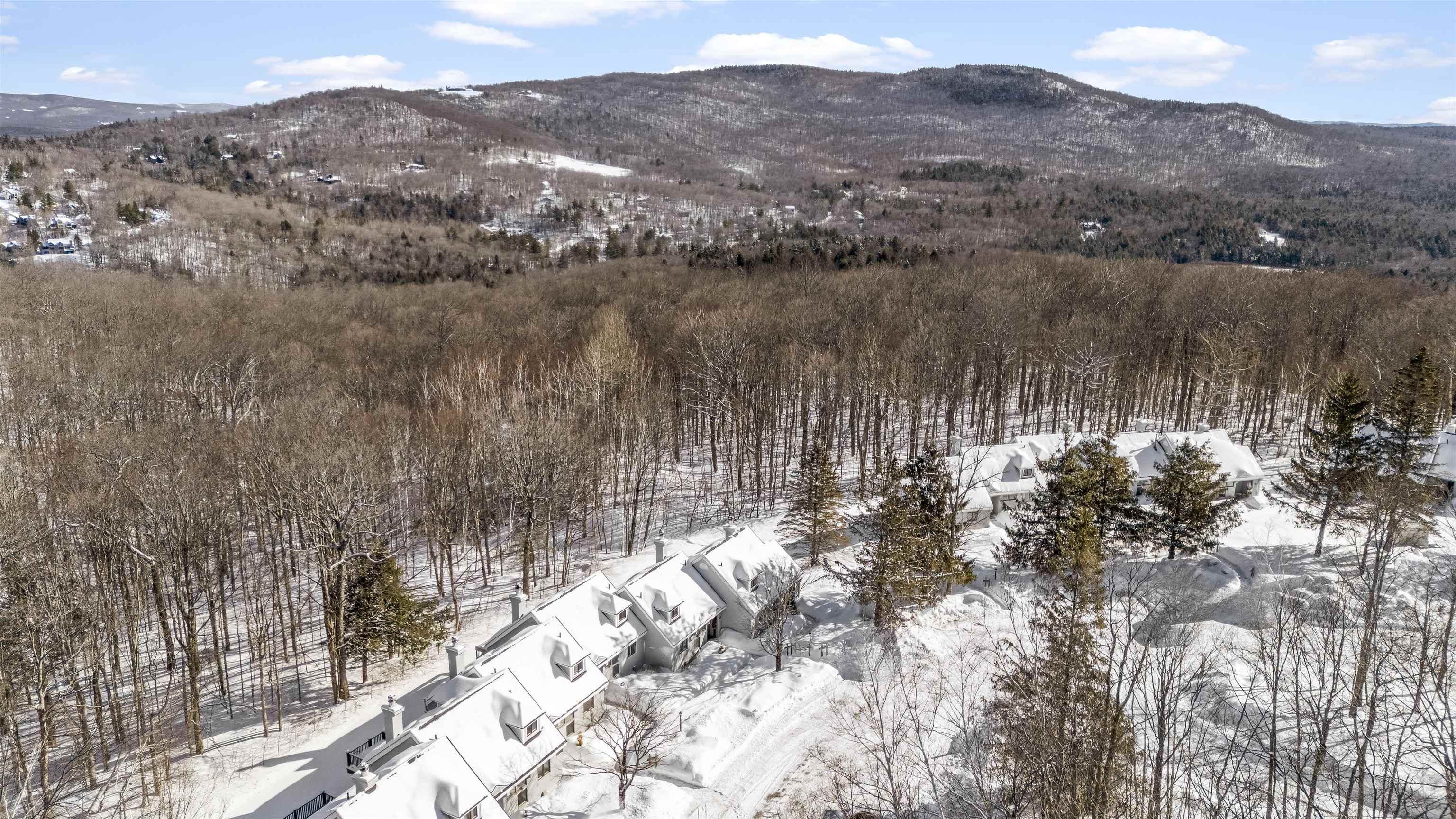 22 High Point Drive, Unit 511 Stratton, VT 05155 - Photo 5 of 34