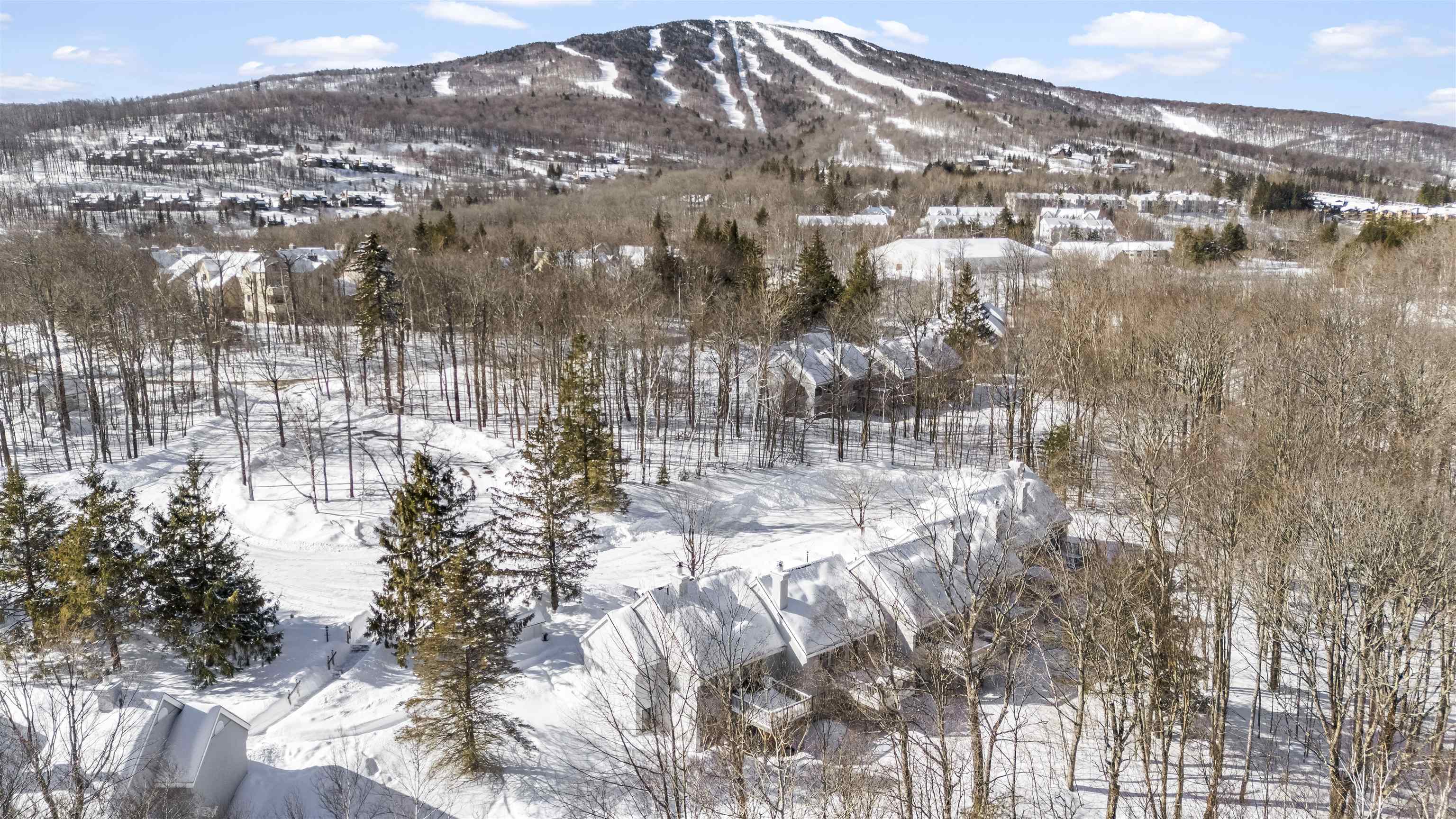 22 High Point Drive, Unit 511 Stratton, VT 05155 - Photo 7 of 34