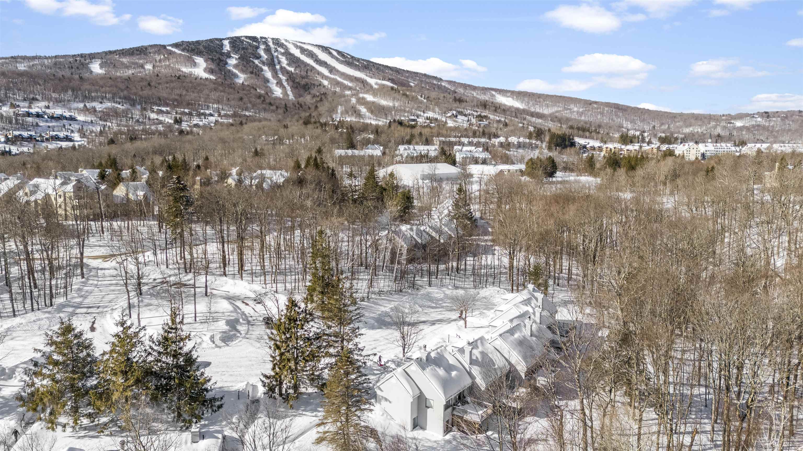 22 High Point Drive, Unit 511 Stratton, VT 05155 - Photo 8 of 34