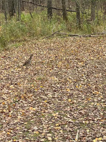 $169,900 | 4812 North N Spur, Sheldon, WI 54766