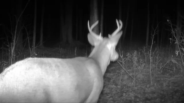 $169,900 | 4812 North N Spur, Sheldon, WI 54766