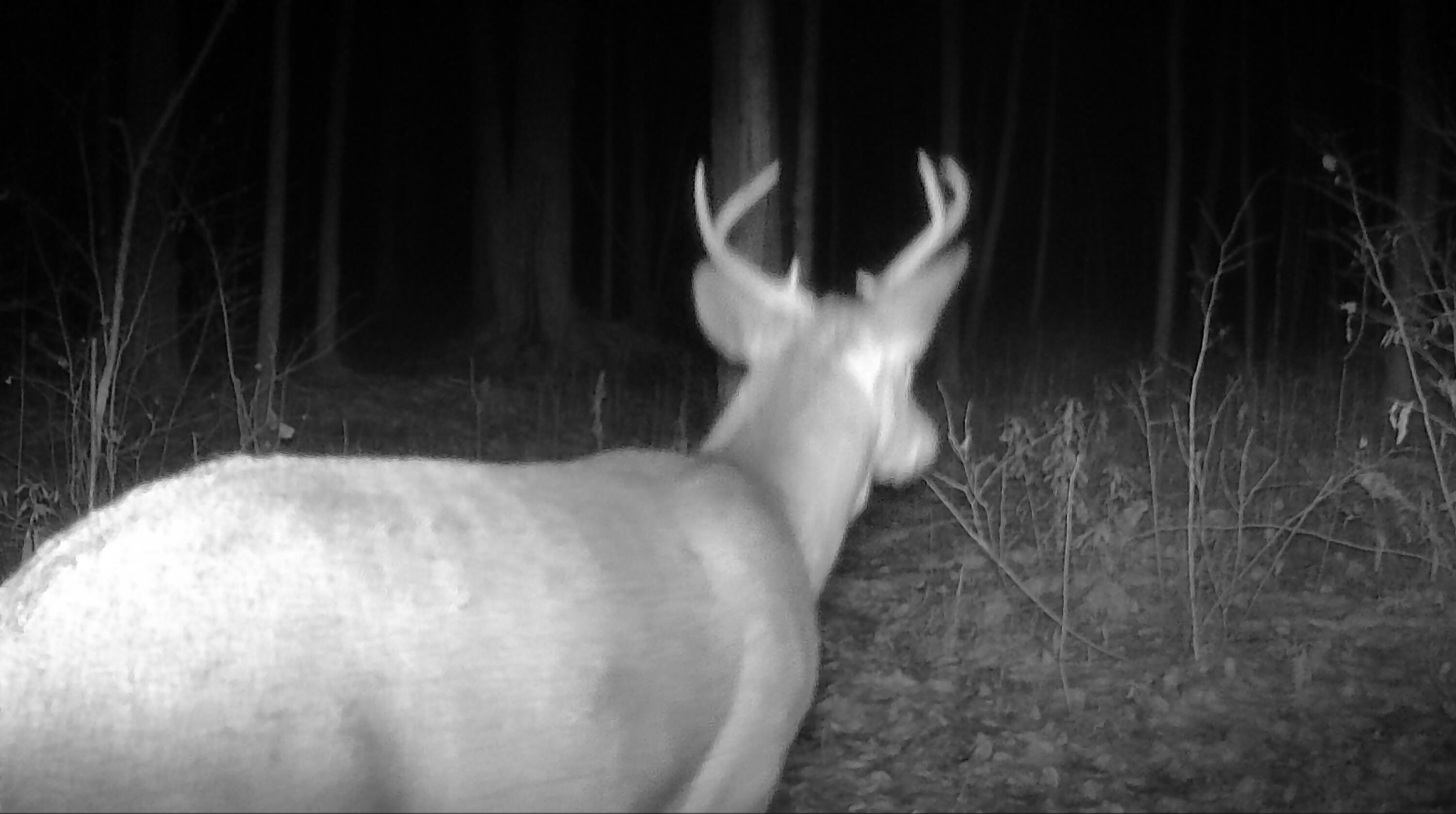 4812 North N Spur Sheldon, WI 54766 - Photo 5 of 5 IMG_9076