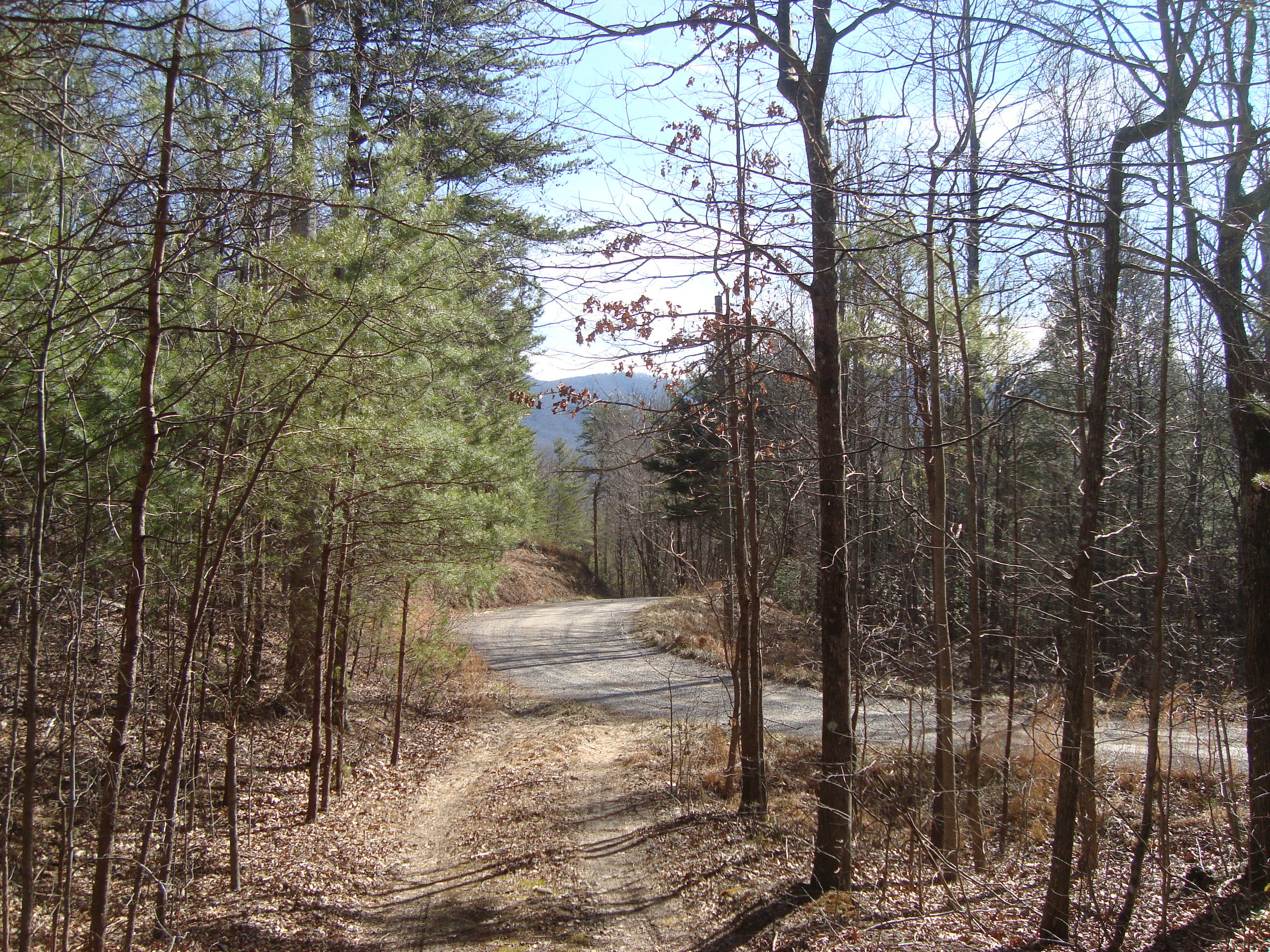 6-7 Harold Witt Road Tellico Plains, TN 37385 - Photo 3 of 10 DSC05505