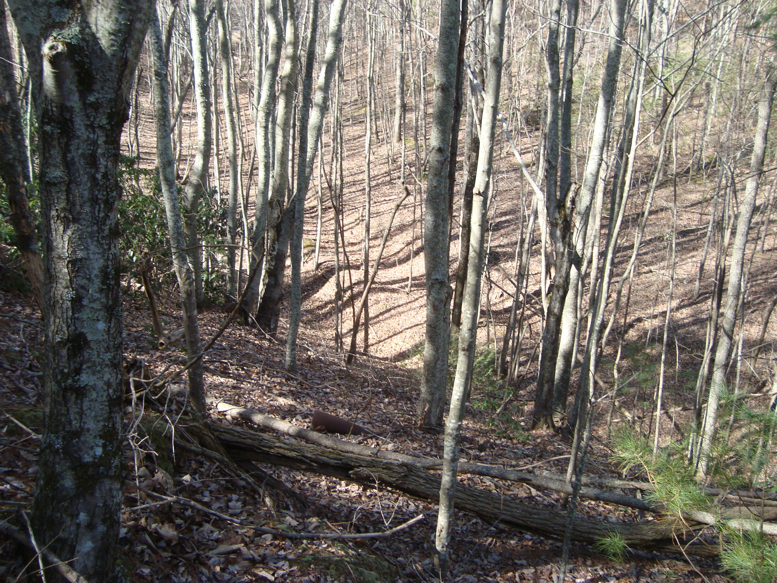 6-7 Harold Witt Road Tellico Plains, TN 37385 - Photo 6 of 10 DSC05498
