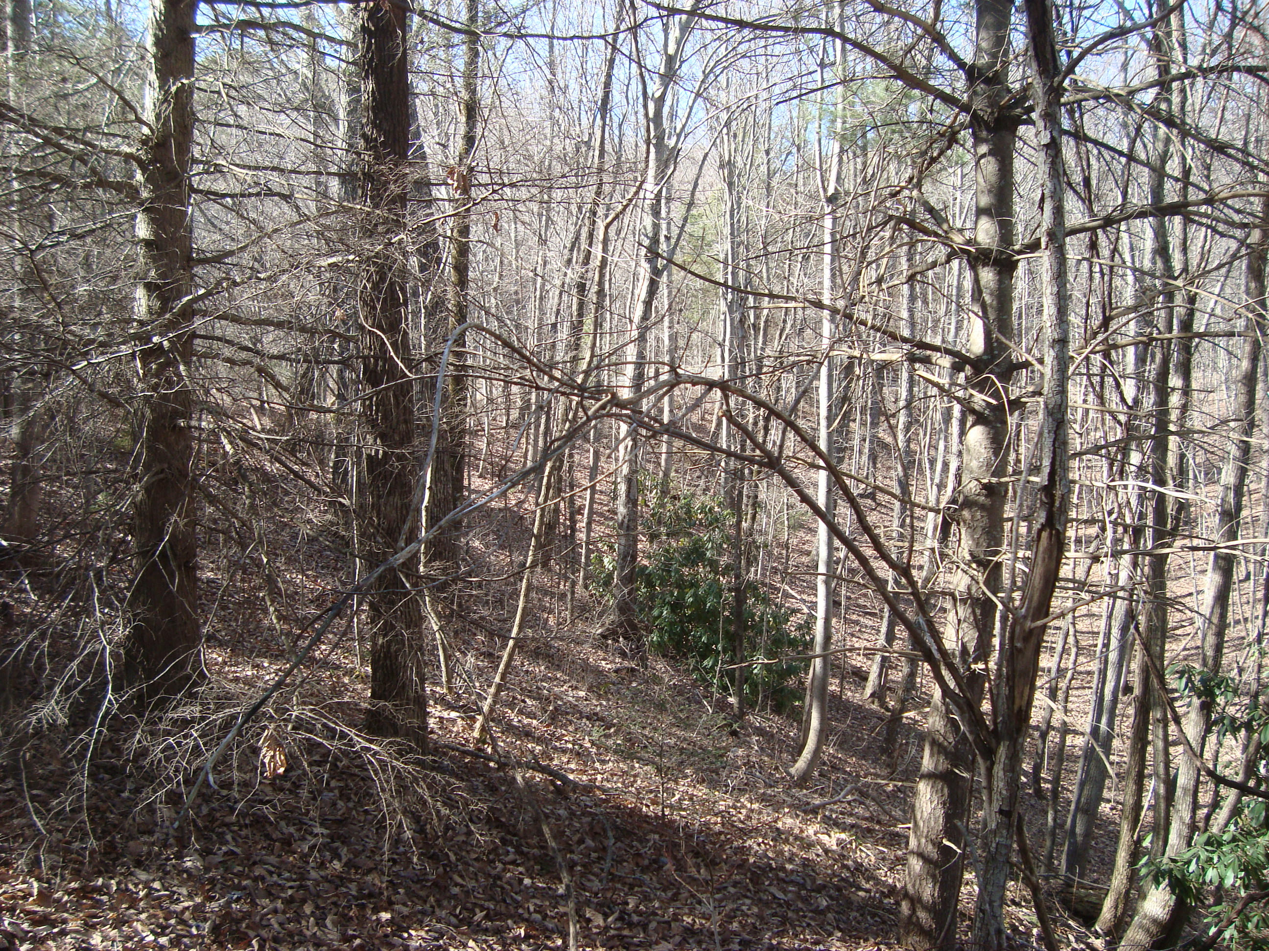 6-7 Harold Witt Road Tellico Plains, TN 37385 - Photo 8 of 10 DSC05501