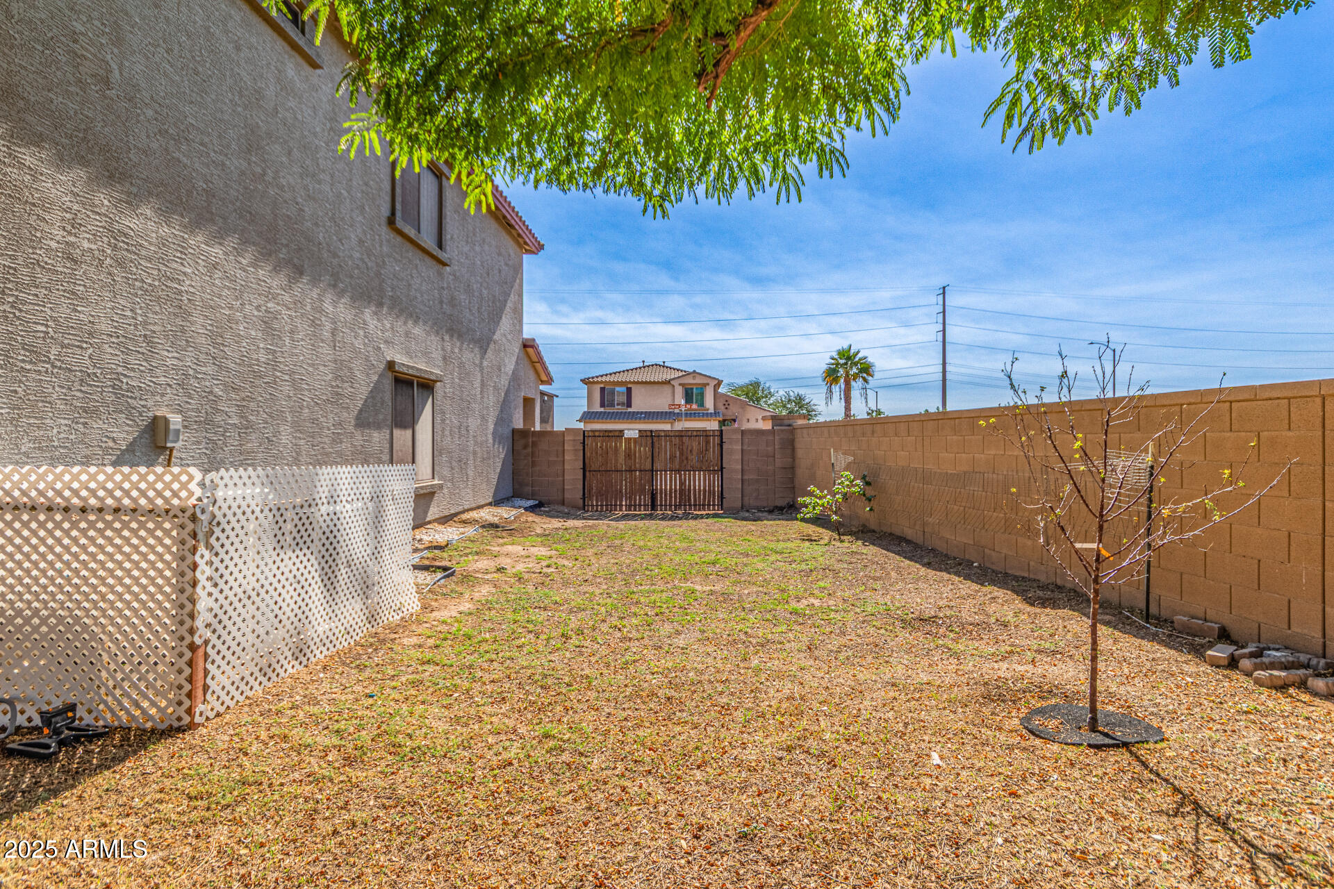 17868 West Charter Oak Road Surprise, AZ 85388 - Photo 64 of 67 a view of a backyard